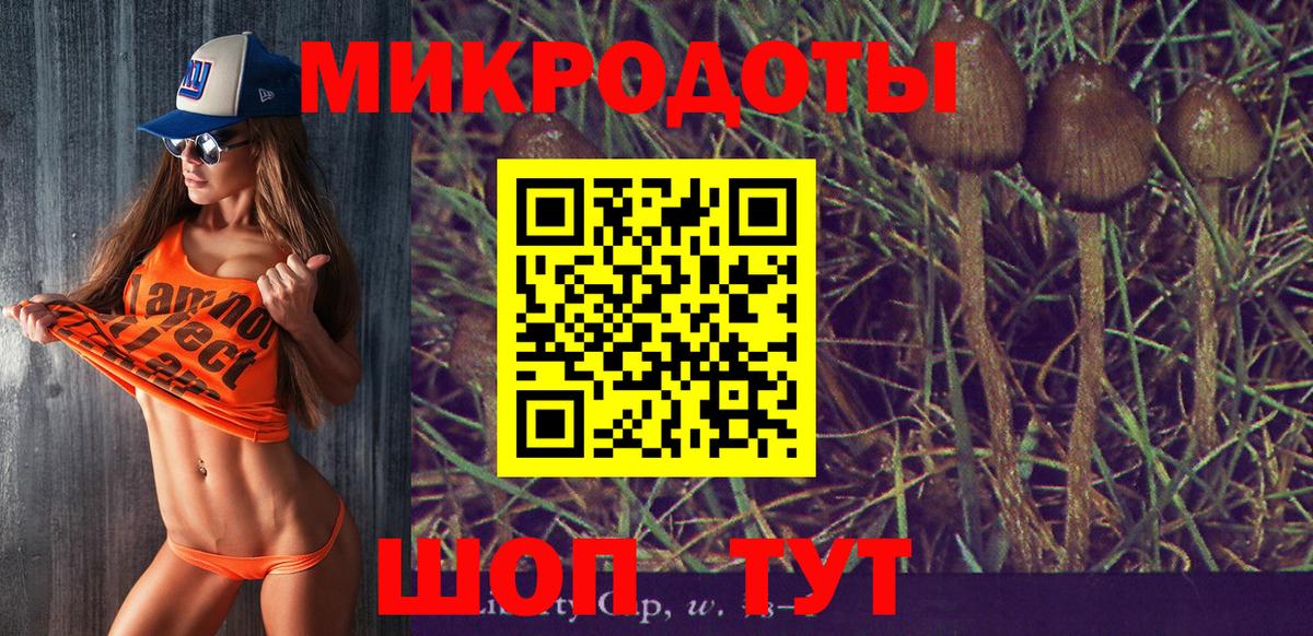 Псилоцибиновые грибы Psilocybe  Тобольск 
